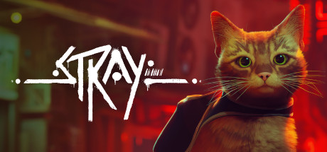 Stray cat in a city